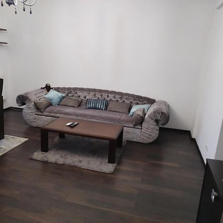 The Unique Apartment Roşu エクステリア 写真