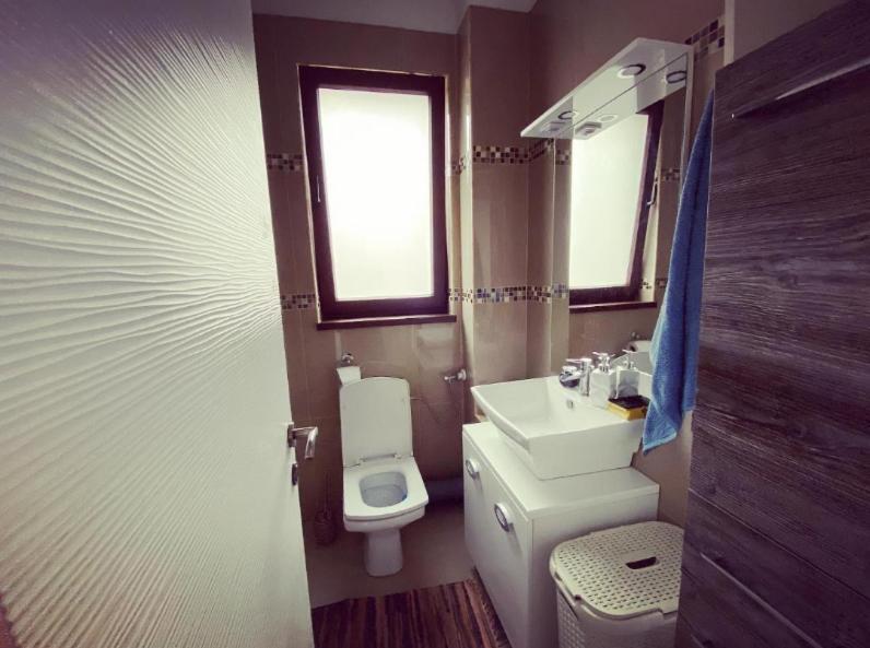 The Unique Apartment Roşu エクステリア 写真