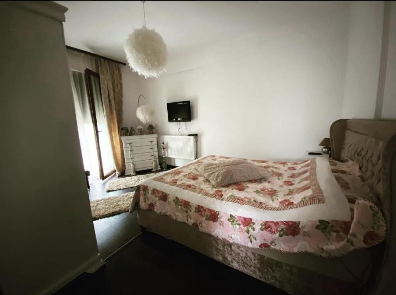 The Unique Apartment Roşu エクステリア 写真