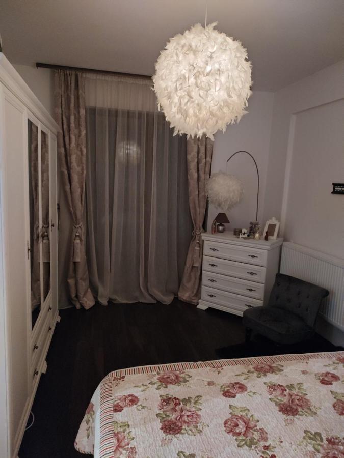 The Unique Apartment Roşu エクステリア 写真