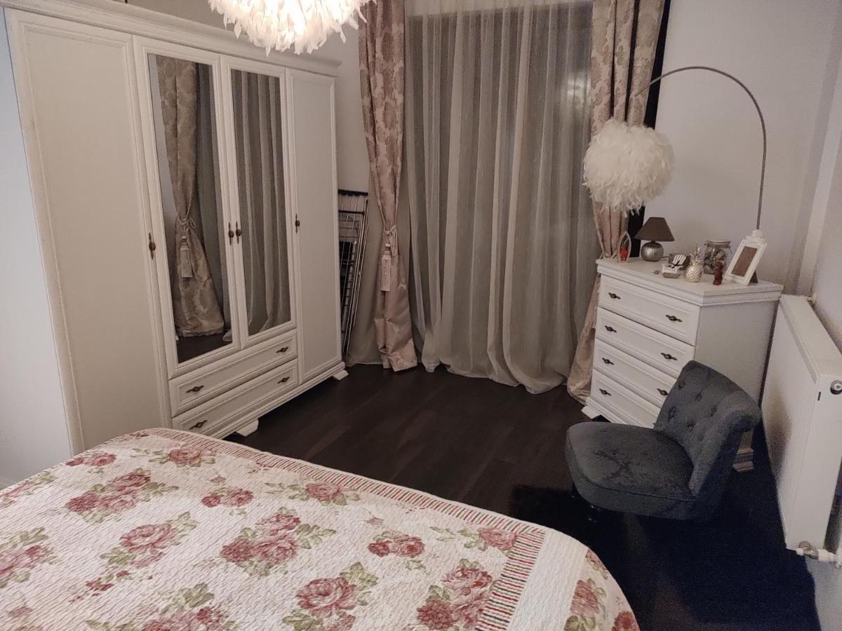 The Unique Apartment Roşu エクステリア 写真