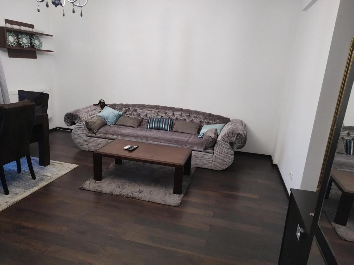 The Unique Apartment Roşu エクステリア 写真