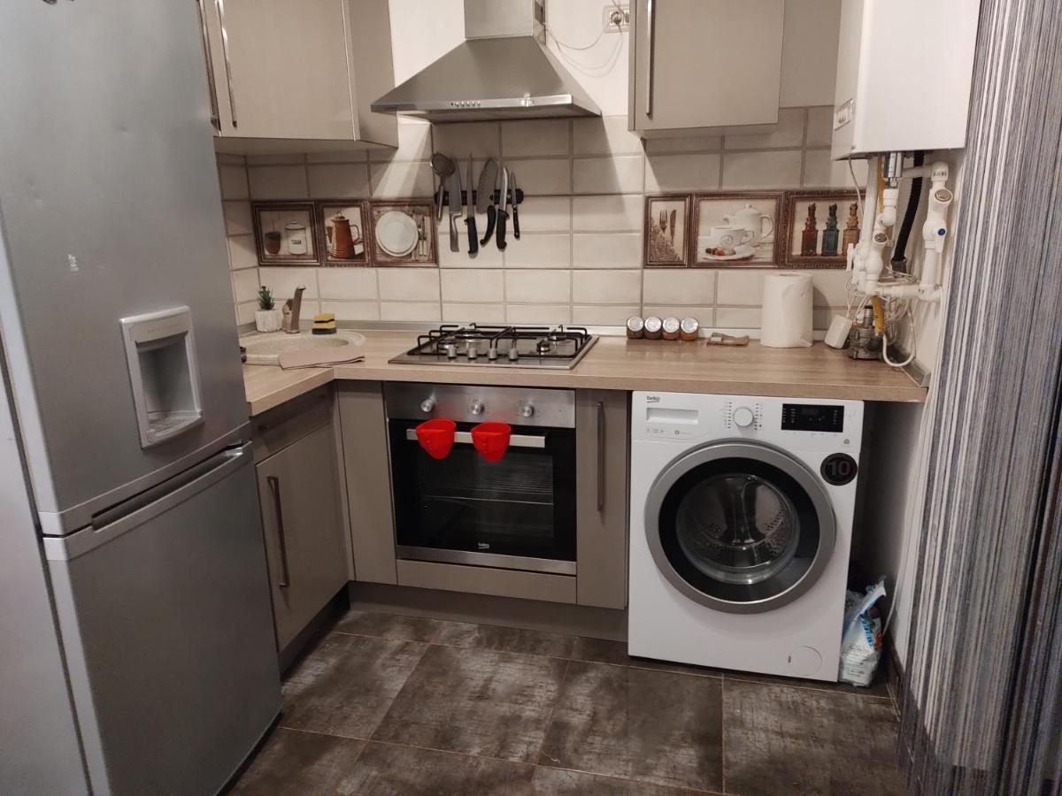 The Unique Apartment Roşu エクステリア 写真