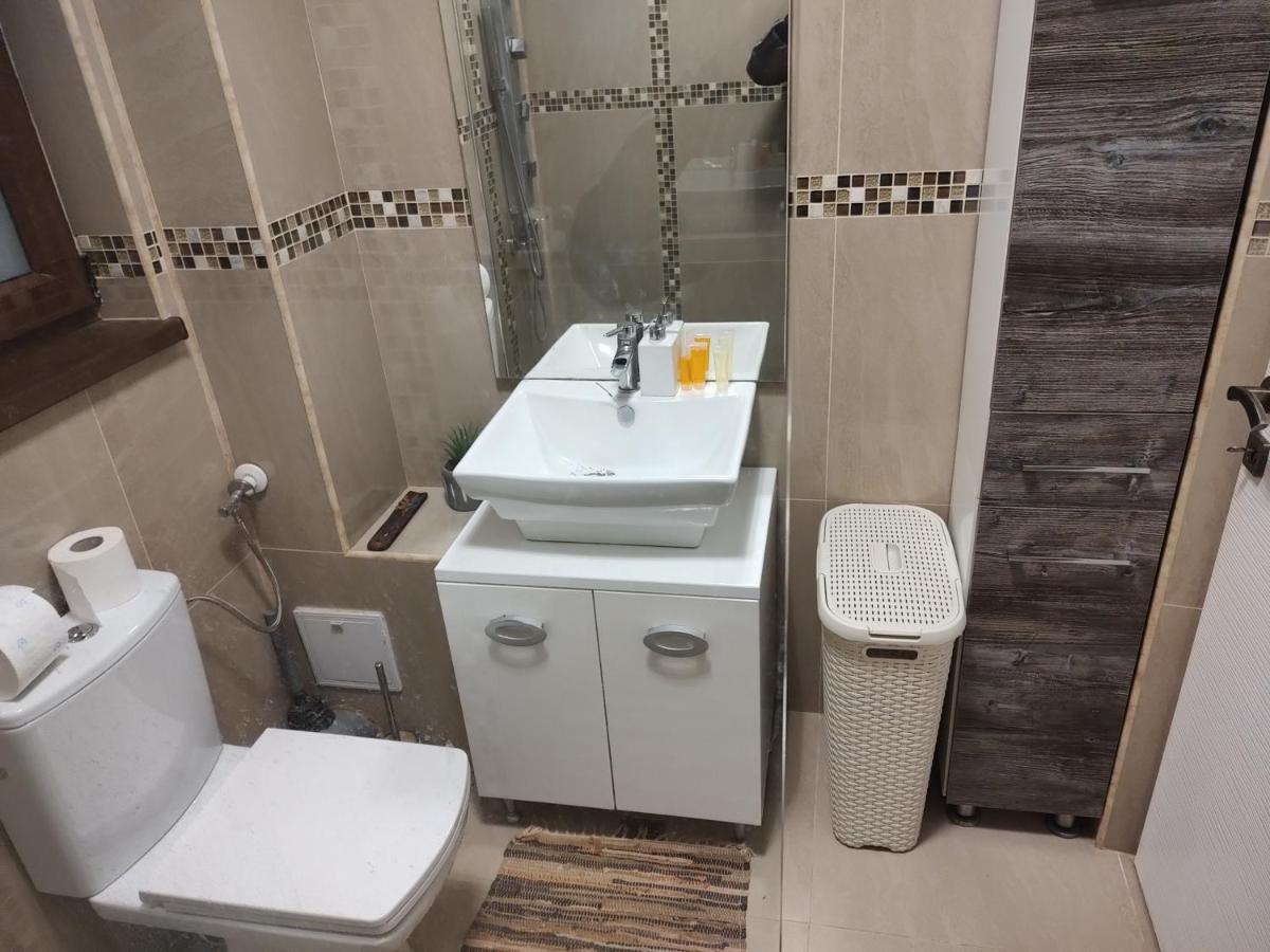 The Unique Apartment Roşu エクステリア 写真