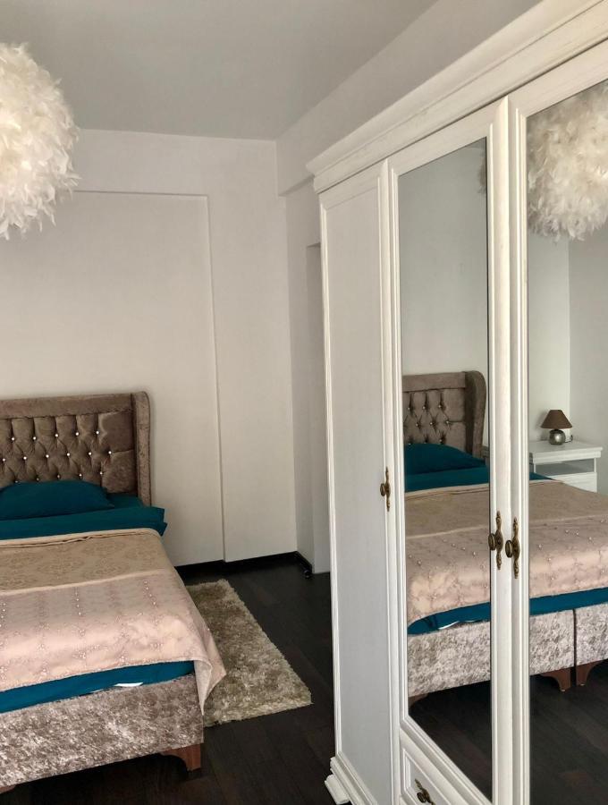 The Unique Apartment Roşu エクステリア 写真